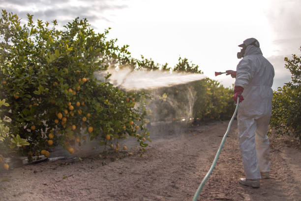  Clinton, MI Pest Control Pros